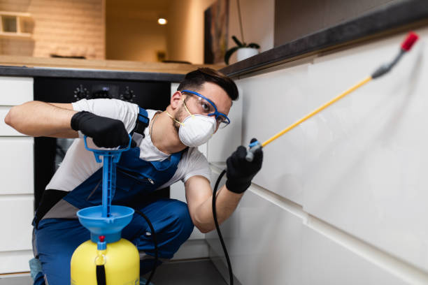 Best Ant Control Services  in Haworth, NJ